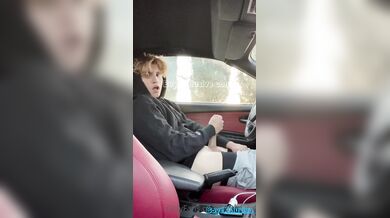 Watch Valentin Mehinagic stroke his big cock in the car like a horny teen